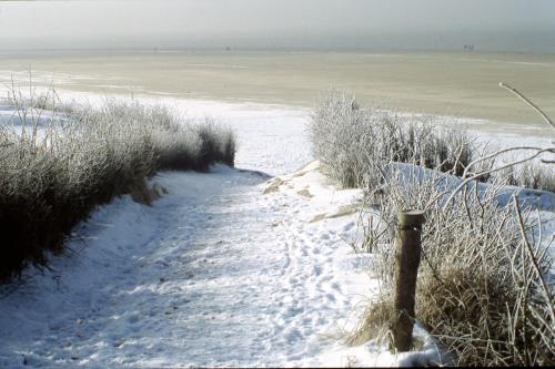 Langeoog Ferienwohnung Appartementhaus Zur freien Aussicht - mail@zurfreienaussicht.de