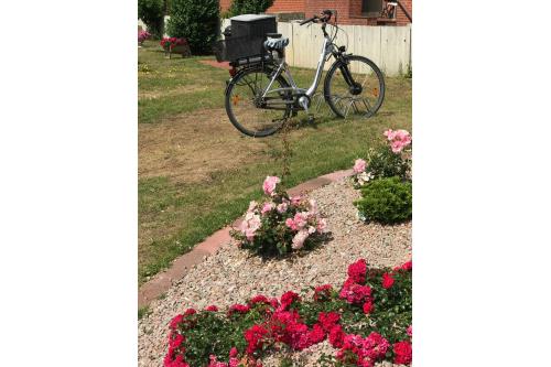 Langeoog Ferienwohnung De Fischer un sien Froo - Blumental - Parkplatz