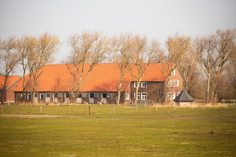 Langeoog Ferienhaus Der Sanddornhof