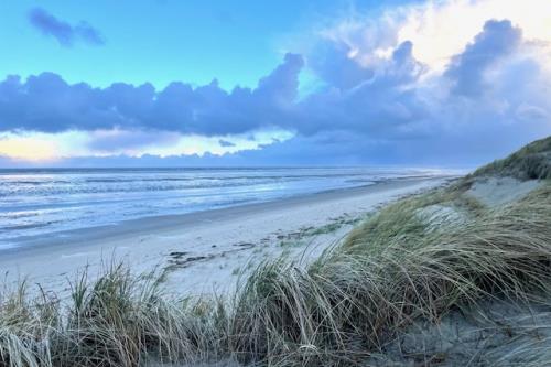 Langeoog Ferienwohnung FeWo Am Wald