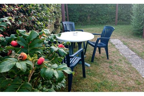 Langeoog Ferienwohnung FeWo Schön