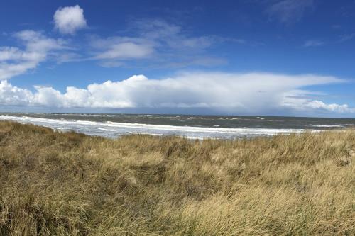 Langeoog Ferienwohnung FeWo Kurth - Sandstrand, Wind und Meer