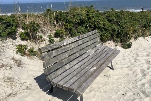 Langeoog Ferienwohnung FeWo Kurth - Bank am Strand, einfach mal hinsetzen