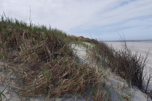 Langeoog Ferienwohnung Ferienhaus Katja und Ralf Heimes - Langeoog Westdünen