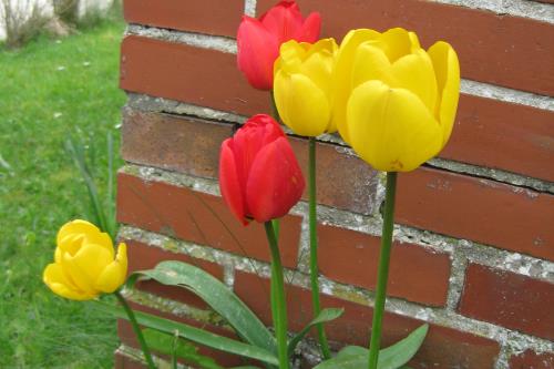 Langeoog Ferienhaus Zur freien Aussicht - Ferienhaus &quot;Maam&quot;