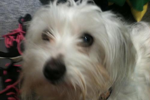 Langeoog Ferienhaus Zur freien Aussicht - Direkt-Auskunft: 0171 - 950 46 31