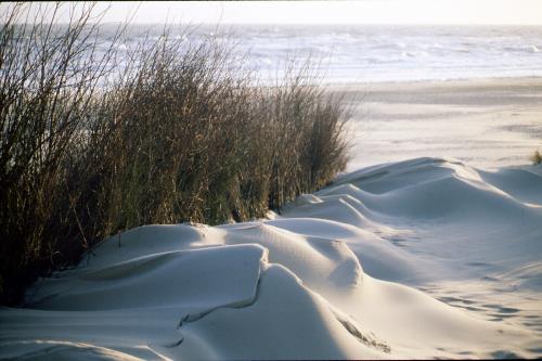 Langeoog Ferienhaus Zur freien Aussicht - zurfreienaussicht.de
