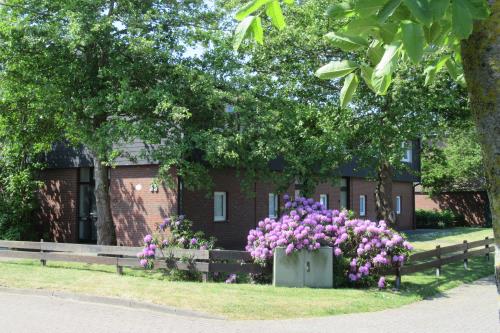 Langeoog Ferienwohnung Ferienwohnanlage Ahlering - Polderweg
