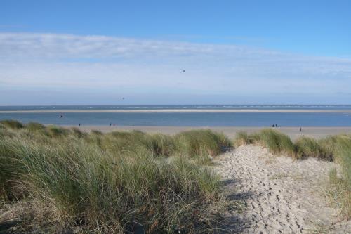 Langeoog Ferienwohnung Strandkorb