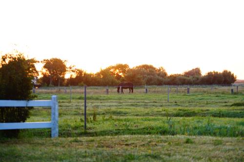 Langeoog Ferienwohnung Polderhus - Aussicht Polderhus