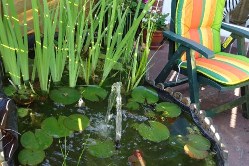Langeoog Ferienwohnung Gästehaus Arends