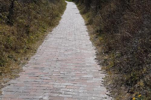 Langeoog Ferienwohnung Habbos Hus
