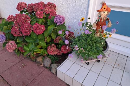 Langeoog Ferienwohnung Achter't Dörp - Herbstbild