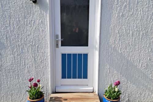 Langeoog Ferienwohnung Achter&#39;t Dörp - Begrüßung mit Tulpen