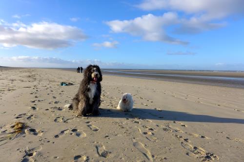 Langeoog Ferienwohnung Haus Wilken - Der Strand gehört uns !