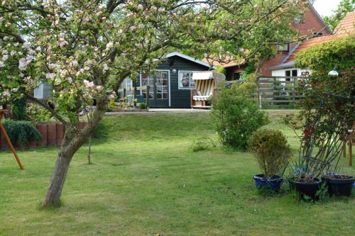 Langeoog Ferienwohnung Haus Apollonia - Obstbaum im Garten
