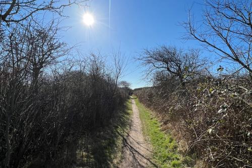 Langeoog Ferienwohnung Haus Apollonia - Inselimpression
