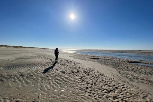 Langeoog Ferienwohnung Haus Apollonia - Strand