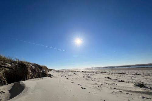 Langeoog Ferienwohnung Haus Apollonia - Strandimpression