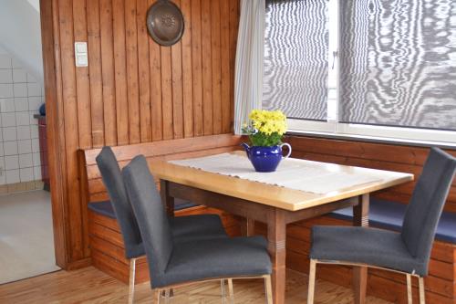 Langeoog Ferienhaus Haus Brölsch - Hinterhaus - Morgensonne und weiter Blick