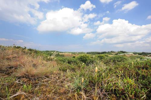 Langeoog Ferienwohnung Haus Strandboje und Haus Dünenrose