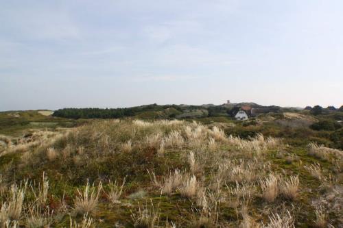 Langeoog Ferienwohnung Haus Strandboje und Haus Dünenrose
