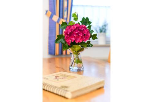 Langeoog Ferienwohnung Haus Strandboje und Haus Dünenrose - Dünenblick - Wohnzimmer/Küche