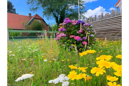 Langeoog Ferienwohnung Haus Fresena - Haus Fresena, Um Süd 3