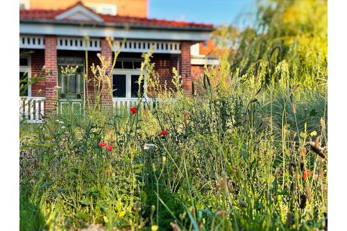 Langeoog Ferienwohnung Haus Fresena - Haus Fresena, Um Süd 3