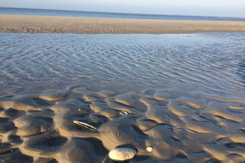 Langeoog Ferienwohnung Haus Windjammer - Strand