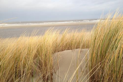Langeoog Ferienwohnung Inselherz im Haus am Kurzentrum - Langeoog Impressionen