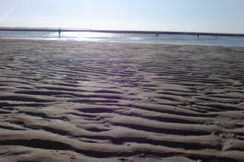 Langeoog Ferienwohnung Inselherz im Haus am Kurzentrum - Watt