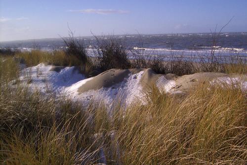 Langeoog Ferienwohnung Inselherz im Haus am Kurzentrum - Eisdüne