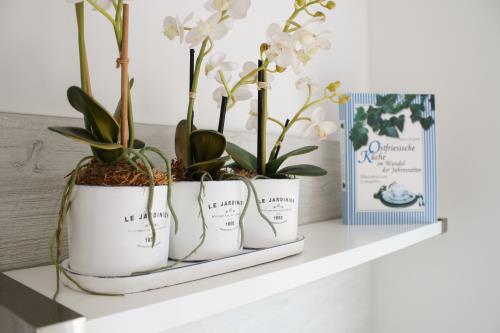 Langeoog Ferienhaus Huus Agena / Huus Osterloog - Osterloog