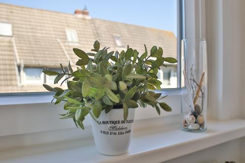 Langeoog Ferienhaus Huus Agena / Huus Osterloog - West - Westwohnung