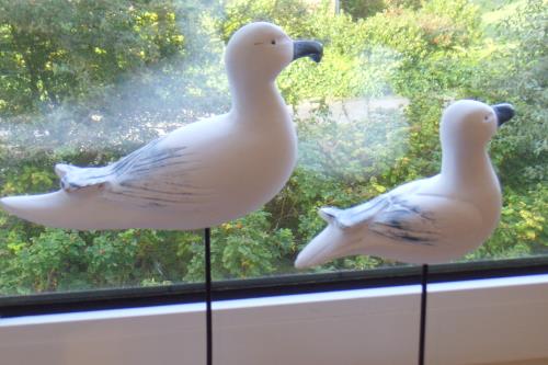 Langeoog Ferienwohnung Inge Axhausen F***