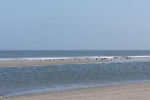 Langeoog Ferienwohnung Inge Axhausen F***