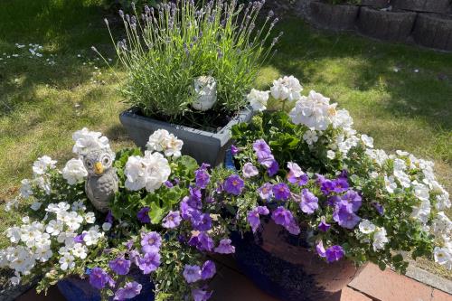 Langeoog Ferienhaus Insel - Meerchen