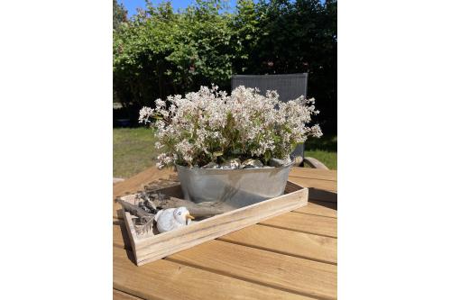 Langeoog Ferienhaus Insel - Meerchen