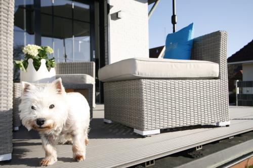 Langeoog Ferienwohnung Us Langeoog - Inselmädchen - Düne 11 - Ausstattung 15