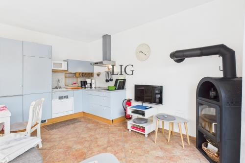 Langeoog Ferienwohnung Kiebitznüst Hübener - 1 Rosenbogen - CAM04236G0 PR0035 STILL012   online