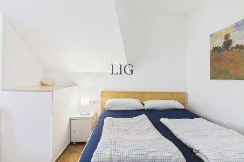 Langeoog Ferienwohnung Kiebitznüst Hübener - 1 Rosenbogen - CAM04236G0 PR0035 STILL002   online