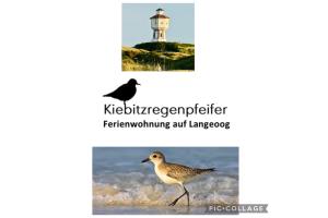 Ferienwohnung Kiebitzregenpfeifer