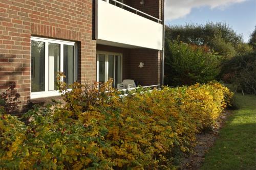Langeoog Ferienwohnung Langeooger Jahreszeiten - Gartenanlage