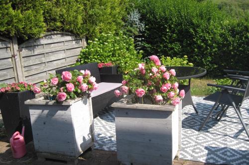 Langeoog Ferienwohnung Lilli&#39;s Welt