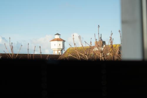 Langeoog Ferienwohnung Muschelsöker - KREBS & KRABBE - Wohnzimmer KREBS