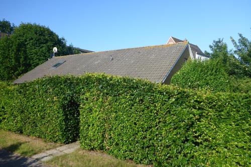 Langeoog Ferienhaus Schimmelreiter - Ihr Eingang zur Erholung