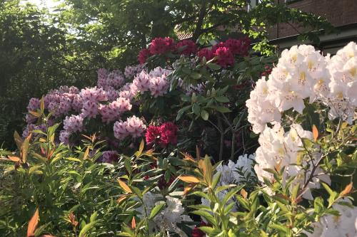Langeoog Ferienhaus Um's Eck