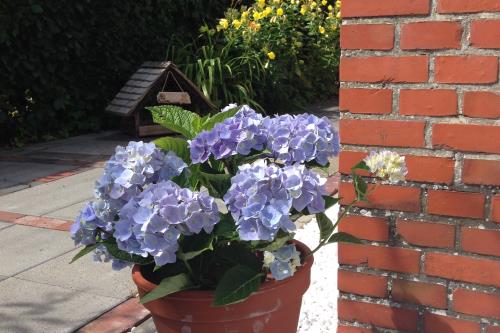 Langeoog Ferienhaus Um's Eck