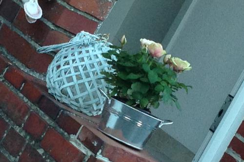 Langeoog Ferienhaus Um's Eck